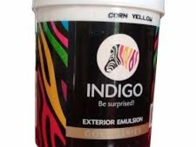Indigo paints price in coimbatore