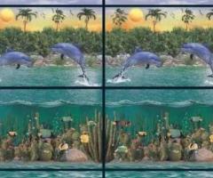 Dolphin Tiles Available at Best Price in Coimbatore