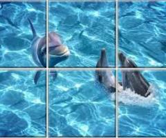 Dolphin Tiles Available at Best Price in Neelambur